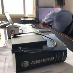 91秦先生国产,国产生态下的创新与突破