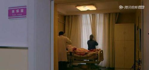 国产老妇人,国产老妇人的人生篇章