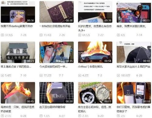 91精产品一区永久免费,免费畅享,尽享极致体验之旅