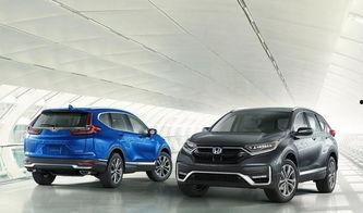 国产v日本,文化交融下的视听盛宴